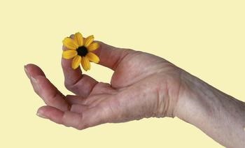 mudra