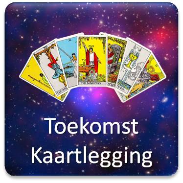 tarot legging