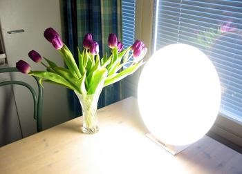 Lichttherapie